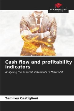 Cash flow and profitability indicators - Castiglioni, Tamires