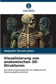 Visualisierung von anatomischen 3D-Strukturen