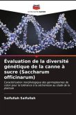 Évaluation de la diversité génétique de la canne à sucre (Saccharum officinarum)