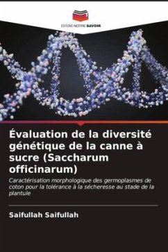 Évaluation de la diversité génétique de la canne à sucre (Saccharum officinarum) - Saifullah, Saifullah