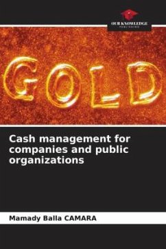 Cash management for companies and public organizations - Camara, Mamady Balla