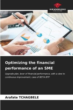 Optimizing the financial performance of an SME - TCHAGBELE, Arafate