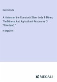 A History of the Comstock Silver Lode & Mines; The Mineral And Agricultural Resources Of ¿Silverland.¿