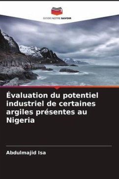 Évaluation du potentiel industriel de certaines argiles présentes au Nigeria - Isa, Abdulmajid