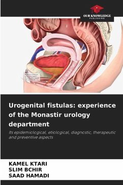 Urogenital fistulas: experience of the Monastir urology department - Ktari, Kamel;BCHIR, SLIM;HAMADI, SAAD