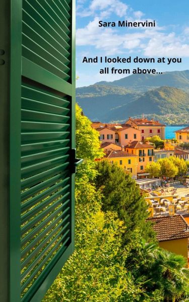 And I looked down at you all from above... (eBook, ePUB)