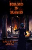 The Mage Rebellion Forged in Flames (eBook, ePUB)