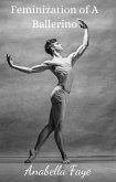 Feminization of a Ballerino (eBook, ePUB)