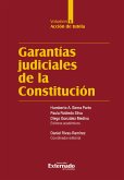 Garantías judiciales de la Constitución Tomo V (eBook, ePUB)