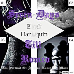 Cover Black Harlequin The Romance Revealed: The Portrait Of A Man Under The Moon (eBook, ePUB)