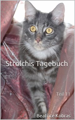 Strolchis Tagebuch - Teil 11 (eBook, ePUB) - Kobras, Beatrice