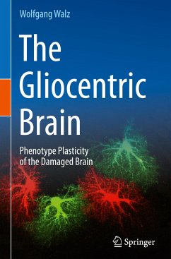 The Gliocentric Brain - Walz, Wolfgang