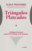 Triángulos plateados (eBook, ePUB)