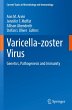 Varicella-zoster Virus - Bild 1