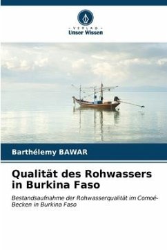 Qualität des Rohwassers in Burkina Faso - Bawar, Barthélemy