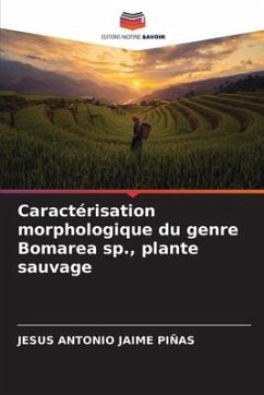 Caractérisation morphologique du genre Bomarea sp., plante sauvage - Jaime Piñas, Jesus Antonio