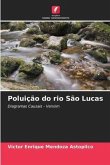 Poluição do rio São Lucas