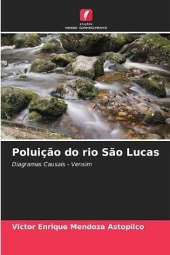 Poluição do rio São Lucas - Mendoza Astopilco, Victor Enrique