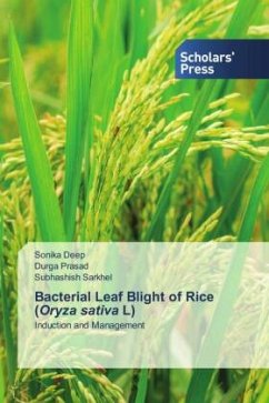 Cover Bacterial Leaf Blight of Rice (Oryza sativa L)