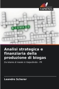 Analisi strategica e finanziaria della produzione di biogas - Scherer, Leandro