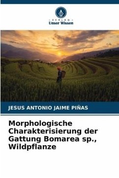 Morphologische Charakterisierung der Gattung Bomarea sp., Wildpflanze - Jaime Piñas, Jesus Antonio