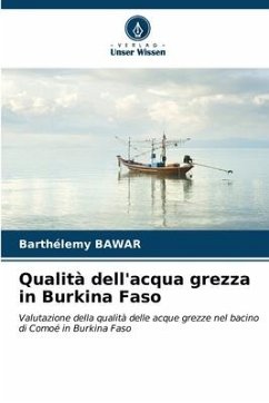 Qualità dell'acqua grezza in Burkina Faso - Bawar, Barthélemy