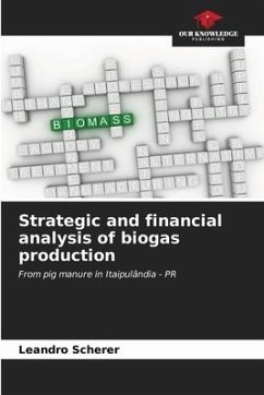 Strategic and financial analysis of biogas production - Scherer, Leandro