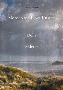 Morden vid Höga Kusten - Olsson, Ulrika