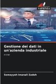 Gestione dei dati in un'azienda industriale