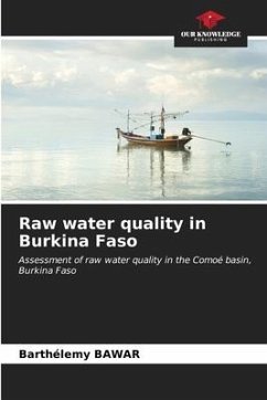 Raw water quality in Burkina Faso - Bawar, Barthélemy
