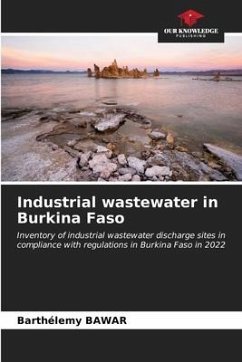 Industrial wastewater in Burkina Faso - Bawar, Barthélemy