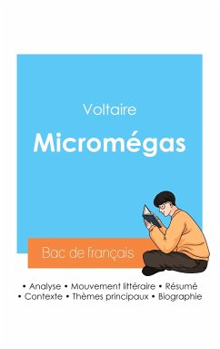 Réussir son Bac de français 2024 : Analyse de Micromégas de Voltaire - Voltaire