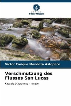 Verschmutzung des Flusses San Lucas - Mendoza Astopilco, Victor Enrique