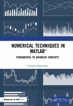 Numerical Techniques in MATLAB (eBook, PDF) - Salahuddin, Taimoor