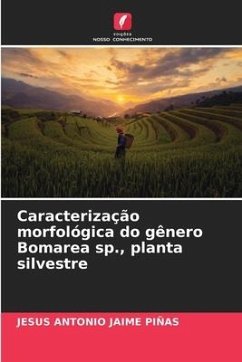 Caracterização morfológica do gênero Bomarea sp., planta silvestre - Jaime Piñas, Jesus Antonio