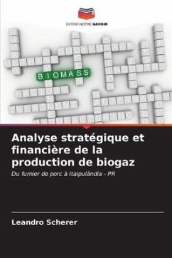 Analyse stratégique et financière de la production de biogaz - Scherer, Leandro