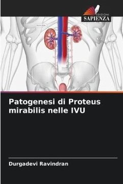 Patogenesi di Proteus mirabilis nelle IVU - Ravindran, Durgadevi