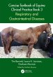 Concise Textbook of Equine Clinical... - Bild 1