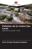 Pollution de la rivière San Lucas