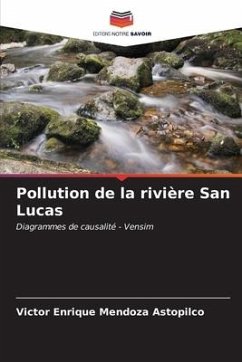 Pollution de la rivière San Lucas - Mendoza Astopilco, Victor Enrique