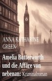 Amelia Butterworth und die Affäre von nebenan: Kriminalroman (eBook, ePUB)