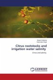Citrus rootstocks and irrigation water salinity