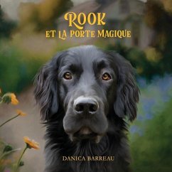 Rook et La Porte Magique (French Edition) - Barreau, Danica