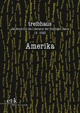 Amerika (eBook, PDF)