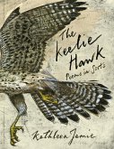 The Keelie Hawk (eBook, ePUB)