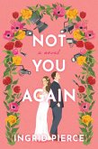 Not You Again (eBook, ePUB)