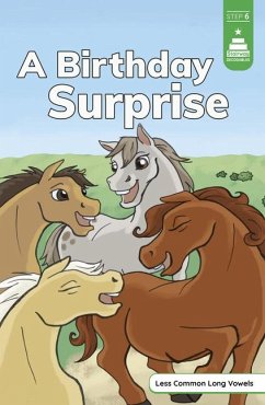 A Birthday Surprise - Koch, Leanna