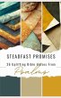 Steadfast Promises - Bild 1