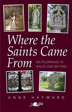 Where the Saints Came from - Hayward, Anne