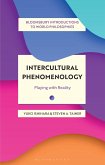 Intercultural Phenomenology (eBook, ePUB)